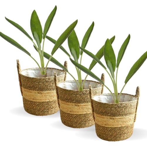 3 Vasos Cestos De Palha Para Manta Planta Cachepot Chic Boho