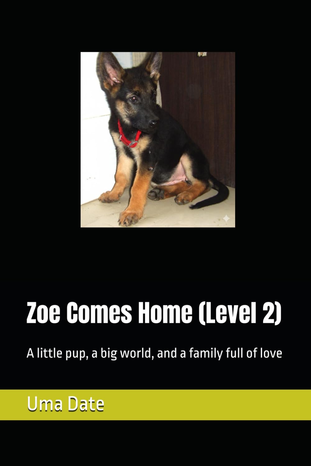 Zoe Comes Home (Level 2): A little pup, a big world, and a family full of love ('Adventures of Rani and Zoe')