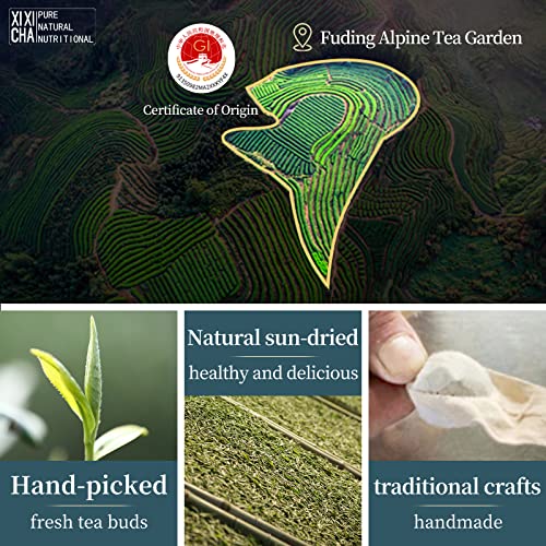 Xixicha White Tea White Peony Tea Dragon Pearls Tea Fuding White Tea White Loose Leaf Tea Balls Tea Chinese White Tea 7Oz Chinese Kung Fu Tea 福鼎白茶 白牡丹龙珠茶 #TOP1