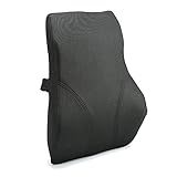 Kingta Memory Foam Back Cushion Pillow With 3D Breathable Mesh Cover Design for Lower Back Pain and Tightness Relief,Best for Office,Home and Car(Black)