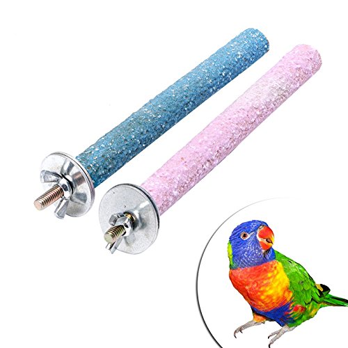 XEGZLH Bird Perch Parrot Standing Sticks for Paw Grinding Natural Wood Stand Cage Snuggle Toy for Small to Birds