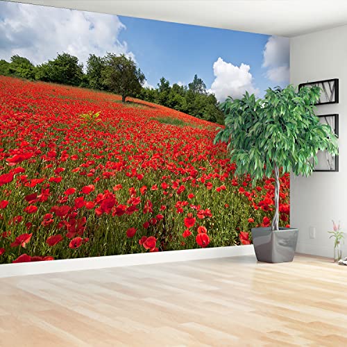 Papier peint champ de coquelicots pour rénover et protéger un mur - 3