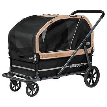 はる　※エアバギー60cm つやあり AIRBUGGY BABY CATALOGUE 2025 SPRING & SUMMER - AIRBUGGY
