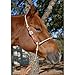 Martin Saddlery Rope Nose Adjustable Headsetter