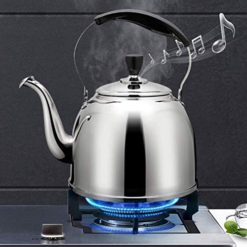 Théière en acier inoxydable 3L durable facile à nettoyer pour poêle maison SHISHI