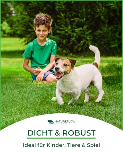 Rasensamen schnellkeimend Nachsaat - Grassamen schnellkeimend - Rasensaat für sattgrünen Rasen