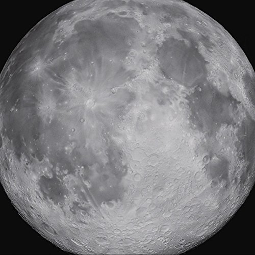 Invariable Will: Recurring Ebbs and Flows [14LP/1DVD/Coffee Table Book]