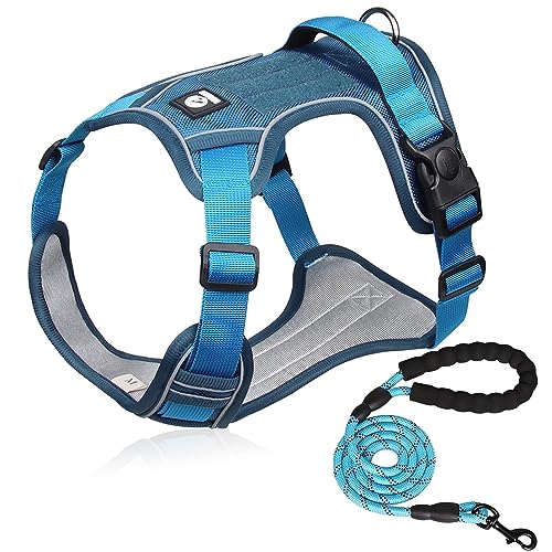 【柴犬に強力推薦】 XINIDEA 頑丈で耐久性に 犬用ハーネスセット、背面に名前タグを貼り付け可能，小型犬、中型犬、大型犬、超大型犬用、1.5mリード付き、ノーストレス窒息防止、調整可能なオックスフォード素材のアウトドア犬用ベスト、ダブルDリング、夜間反射デザイン。（青 XL）