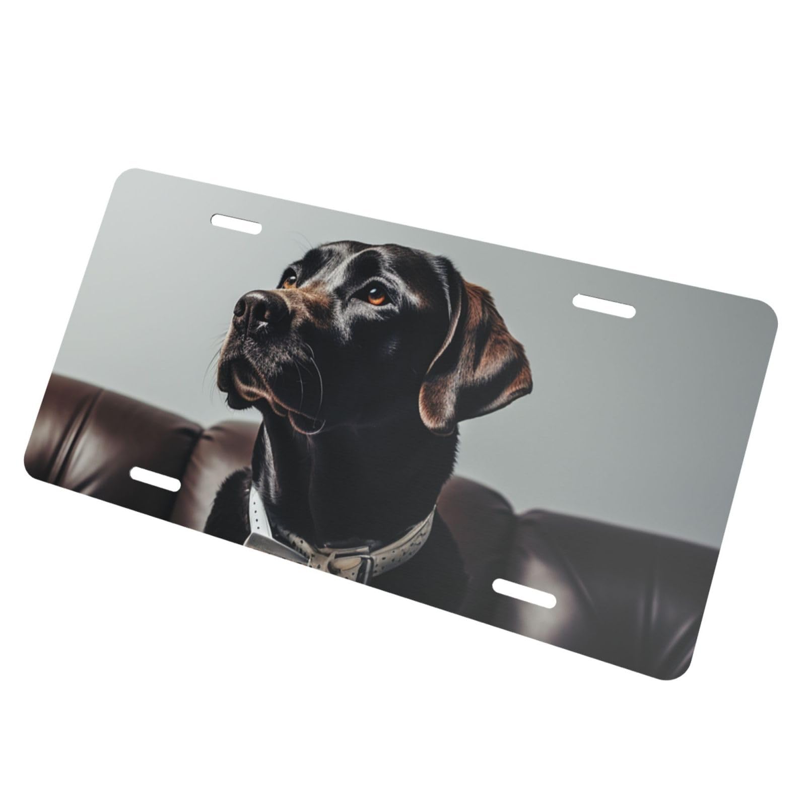Hund Wei Kragen Druck Nummernschild Personalisierte Neuheit Auto  Frontplatte Nummernschild Metall Nummernschild Abdeckung Auto Zubehr 30 X  15 cm : Amazon.de: Auto & Motorrad