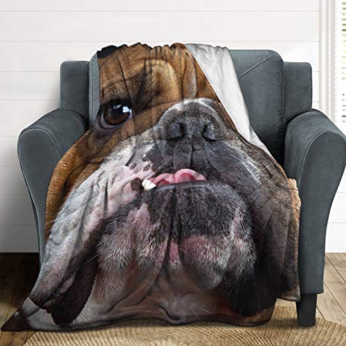 Flannel Fleece Blanket Softness Throw Blanket Smothness Fluffy Blanket Cool Bulldog Face Pug Dog Pattern Air-Conditioned Quilts For All Season (30 X 40 Inches) #TOP5