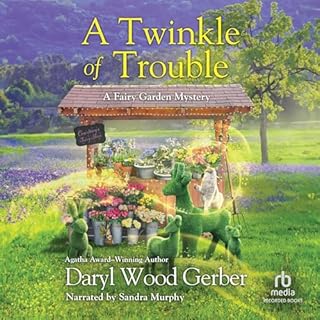 A Twinkle of Trouble Audiolibro Por Daryl Wood Gerber arte de portada