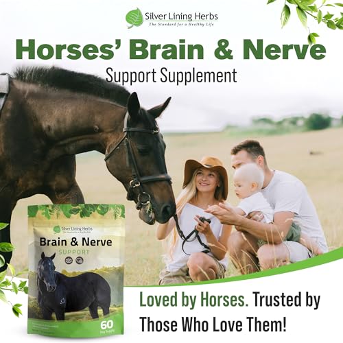 Image of Silver Lining Herbs Brain & Nerve Support Supplement for Horses - Horse Supplements for Focus, Mental Health & Brain Support - Contains Herbal Blend of Ginkgo, Gotu Kola, & More - 1 lb 60-Day Supply