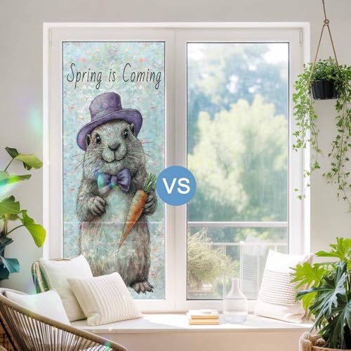 Vinilo decorativo ventana privacidad arcoíris 17.7x39.3 pulg miniatura 4