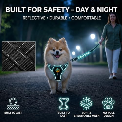 Image of Adjustable Padded Dog Harness with Leash, Black, M (16-24 kg)