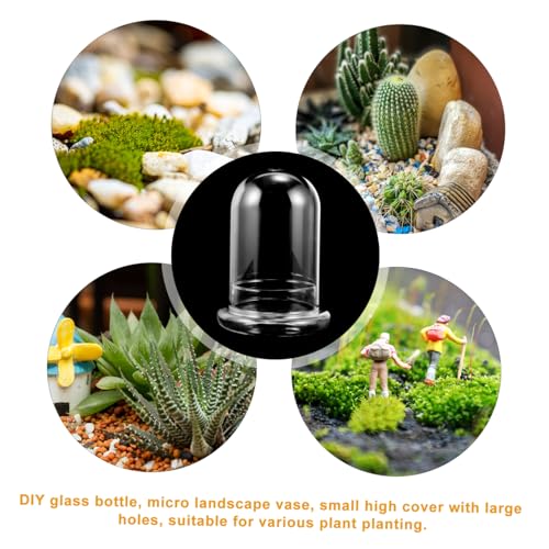 Accessoire pour micro-paysage avec cloche decorative - 5