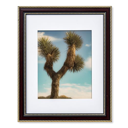 FLYJOE 11x14 Picture Frame with Mat for 8x10-11 x 14 Picture Frame with Gold Beaded Trim - Plexiglass - Wall Mount Display Horizontally or Vertically - Hanging Hardware Included - Mahogany
