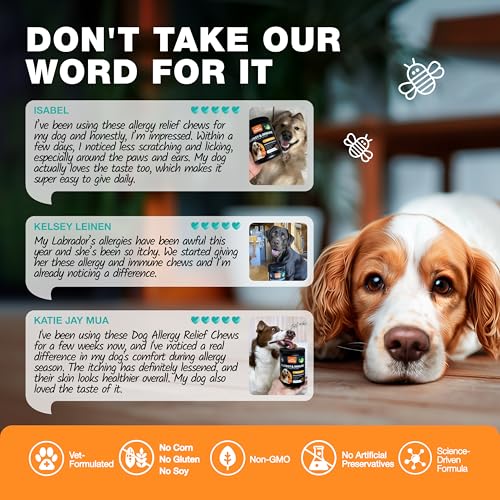Image of Dog Allergy Relief Chews - Itch Relief for Dogs - 180 Allergy Chews for Itching Skin with Probiotics, Colostrum, Salmon Oil - Allergy, Skin and Coat, Immune, Digestion Support Supplement - Hot Spots