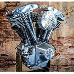 Retro-Aluminum-1980-Shovelhead-Points-Timing-Timer-Cover-2-Hole-Fits-Harley-Davidson