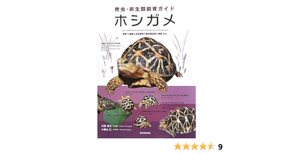 ホシガメ 飼育 繁殖 生息環境 愛好家訪問 病気etc 爬虫 両生類飼育ガイド 宣広 川添 仁 小家山 本 通販 Amazon ホシガメ 飼育 繁殖 生息環境 愛好家訪問 病気etc 爬虫 両生類飼育ガイド 宣広 川添 仁 小家山 本 通販 Amazon