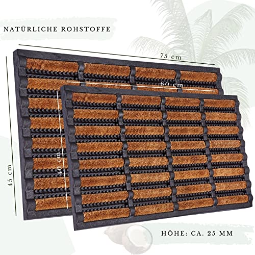 Hanse Home Brushes Fußmatte Kokos und Gummi 40x60cm – rutschfeste Schmutzfangmatte für Innen und Außen, Fußabtreter mit Kokosbürsten Türmatte Wetterfest Schmutzabtreter Outdoor – Schwarz Natur