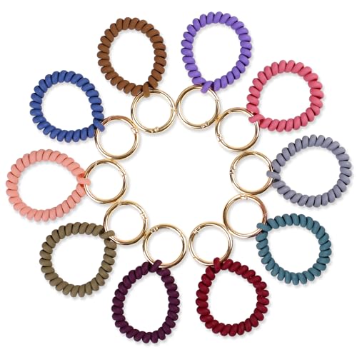 Leery Wrist Key Chain, Stretchable Wristband Wristlet Keychain Spring Flexible Spiral Wrist Coil Key Holder for Sauna Gym Pool ID Badge and Outdoor Sports?10 Pieces?
