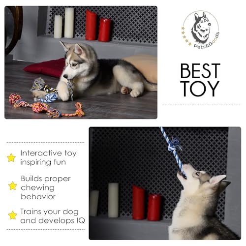 Dog Chew Toys - Puppy Teething Toys - Rope Toy Pack for Small Dogs - Tug Toy - Toy Set - Washable Cotton Rope for Dogs (Pack of 5) - Thumbnail 5