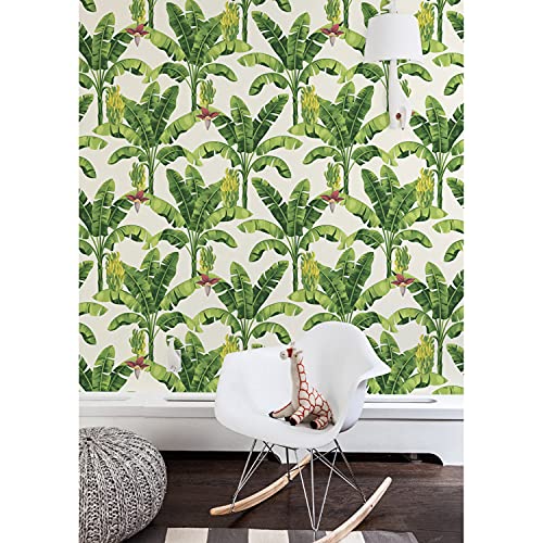Adhesivo decorativo fotomurale autoadhesiva 152x104 para pared de salón 2