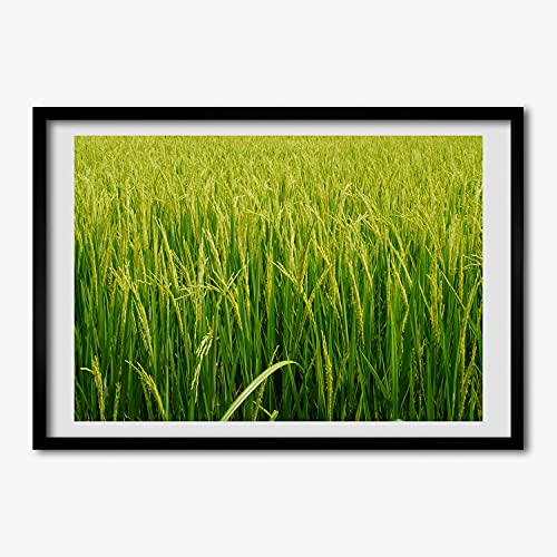 Peinture champ de riz de qualité Tulup cadre en bois affiche decorative moderne 70x50 cm