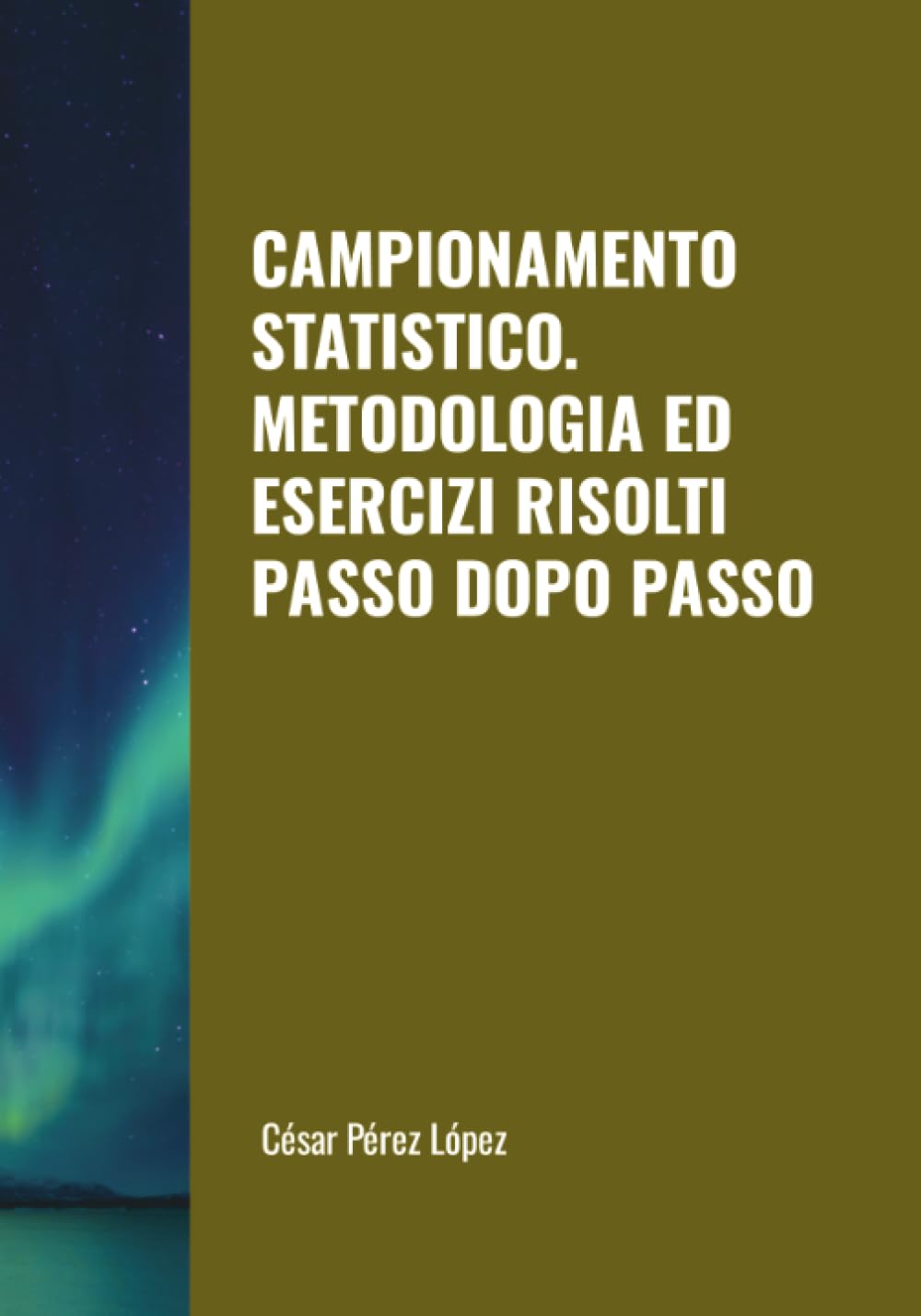 CAMPIONAMENTO STATISTICO. METODOLOGIA ED ESERCIZI RISOLTI PASSO DOPO PASSO