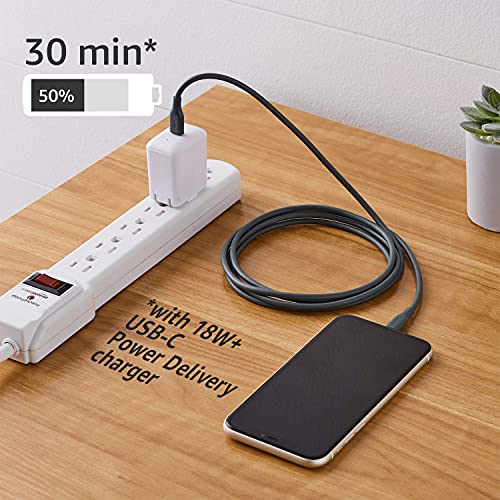 Image of Amazon Basics USB-C to Lightning Cable Cord, MFi Certified Charger for Apple iPhone 11 /12, iPad,Midnight Green, 6-Ft