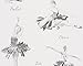 Produktbild A.S. Création Strukturprofiltapete Boys and Girls Tapete Kindertapete 10,05 m x 0,53 m creme grau metallic Made in Germany 305283 30528-3