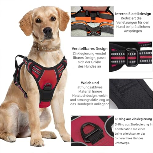 Anti Zieh Geschirr für Hunde – Ergonomisches Anti-Zieh-Design mit Griff & Schleppseil, Step-In-Design, Atmungsaktiv & Gepolstert, für Hunde jeder Größe (Orange, M)
