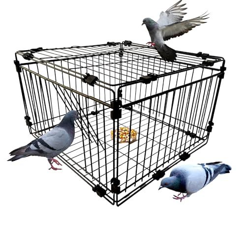 DSQSTMR Bird Trap Cage Pigeon Quail Chicken Outdoor Trapping Live Small Bird Trap