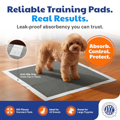 Image of American Kennel Club Carbon-Activated Puppy Training Pads - 100 Count, 22 x 22