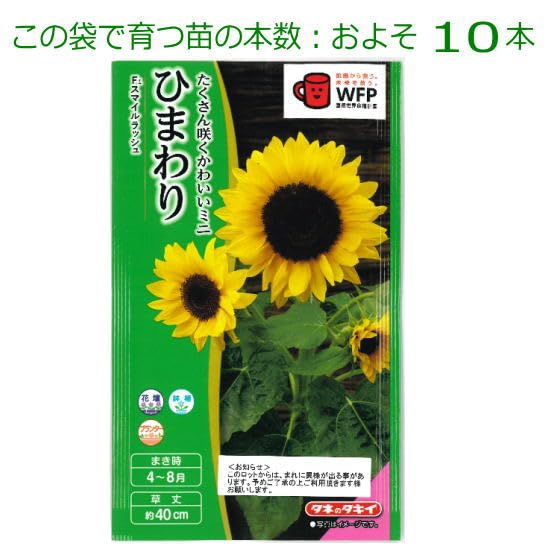 Amazon.co.jp: ひまわり 種子 スマイルラッシュ 2ml（育苗可能