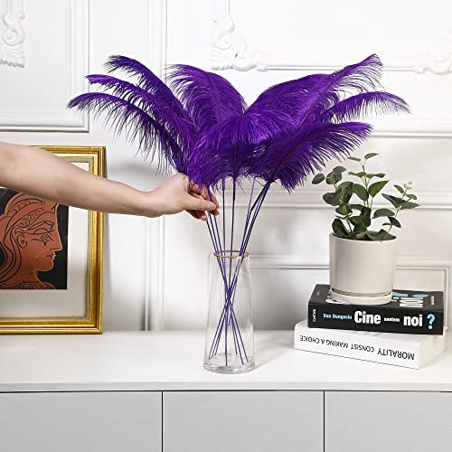 Ballinger Purple Long Ostrich Feathers,12Pcs 16-18inch Making Kit Feathers by Ballinger - Used condition - Image 7
