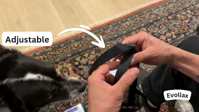 Evollax Dog Muzzle for Large Dogs - Air Mesh Muzzle for Large Sized Dog | Adjustable No Bark Dogs Muzzles for Scavenging Licking & Chewing | Prevent Biting | L 7.9'' - 9.4''