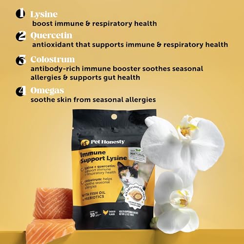 Image of Cat Immune Support Lysine - Allergy Relief & Immune Health Supplement for Cats with L-Lysine, Colostrum, Quercetin & Omega-3 - Soothes Sneezing, Runny Nose & Itchy Skin Chicken, (90-Day Supply)