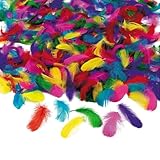 Fun Express Feather Assortment (600PCS)