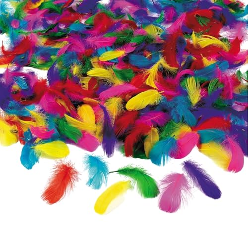 Fun Express Feather Assortment (600PCS)