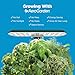 AeroGarden Harvest Lite in Green, Soil-Free Indoor Hydroponic Garden with LED Grow Light for Year-Round Gardening of up to 6 Herbs and Vegetables