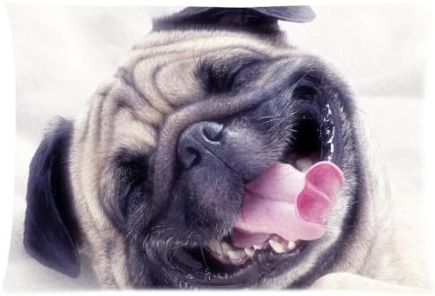 MagicalYeah Funny Pug Dog Pillow Casescover 2030Inch Two Sides