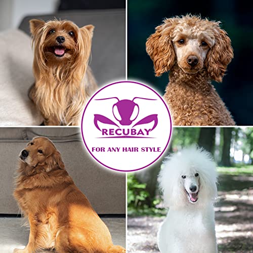 80-Professional-Dog-Grooming-Scissors-Set-4pcs-Set-with-Matte-Deluxe-440C-Stainless-Steel - Cucciolini Doodles   80-Professional-Dog-Grooming-Scissors-Set-4pcs-Set-with-Matte-Deluxe-440C-Stainless-Steel