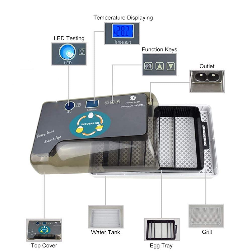 Incubatrice per Uova da 12 Litri Completamente Automatica, Piccola incubatrice per allevatori generici, Display della Temperatura per schiusa, polli, Anatre, oche, uccell