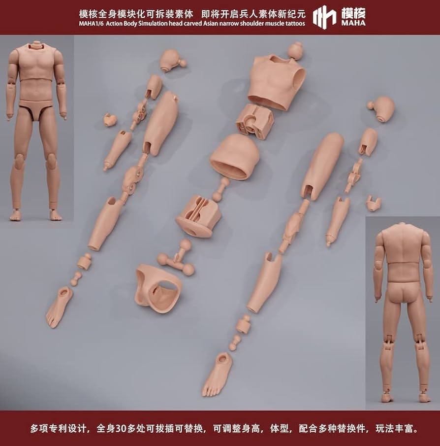 【ワイルド兄さん】1/6　シームレス素体 　サンタン肌 欧米人男性ヘッド付き ワイルド兄さん】1/6 シームレス素体 サンタン肌 欧米人男性