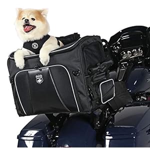 Nelson-Rigg-Route-1-Rover-Pet-Carrier-Weather-Resistant-Portable-and-Secure-Motorcycle-pet-CarrierCrate-Fits-Harley-Davidson-Indian-Yamaha-Suzuki-Motorcycles - Cucciolini Doodles Nelson-Rigg-Route-1-Rover-Pet-Carrier-Weather-Resistant-Portable-and-Secure-Motorcycle-pet-CarrierCrate-Fits-Harley-Davidson-Indian-Yamaha-Suzuki-Motorcycles