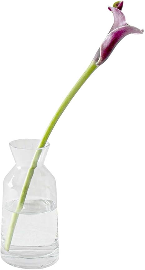 Amazon Co Jp B2c フラワーベース ミルクポット S クリア 花瓶 花器 ガラス製 透明 一輪挿し 水栽培 インテリア ホーム キッチン