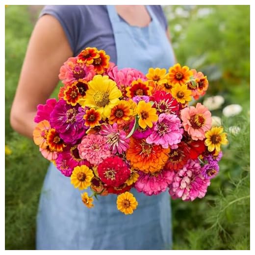 Zin Master Flower Mixed Seeds Package