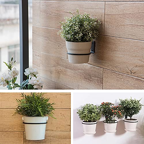Plant Holder Ring 6 Inch Wall Mounted, 6 Pack Flower Pot Hangers Metal Plant Stand Hanging Bracket Basket Hooks by Maosen - Used condition - Image 3