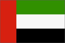 United Arab Emirates Flag Nylon 2 ft. x 3 ft.